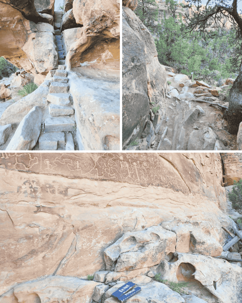 Petroglyph Point Trail at Mesa Verde National Park has incredible views of Spruce and Navajo Canyons as well as the massive 35ft panel of petroglyphs.