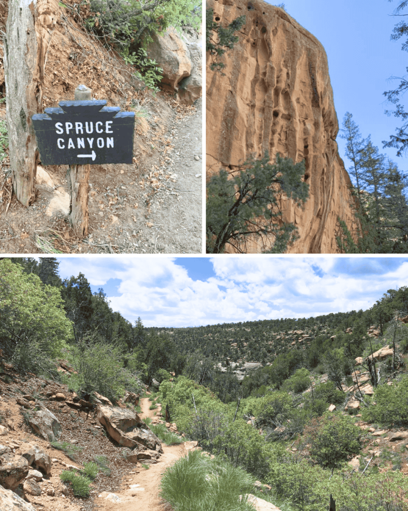 Spruce Canyon Trail takes you 536 feet down the canyon and then back up!
