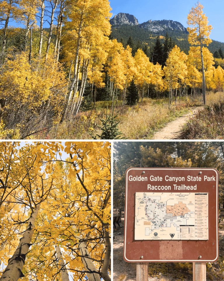 14 Best Places to See Fall in Colorado Unseen Colorado