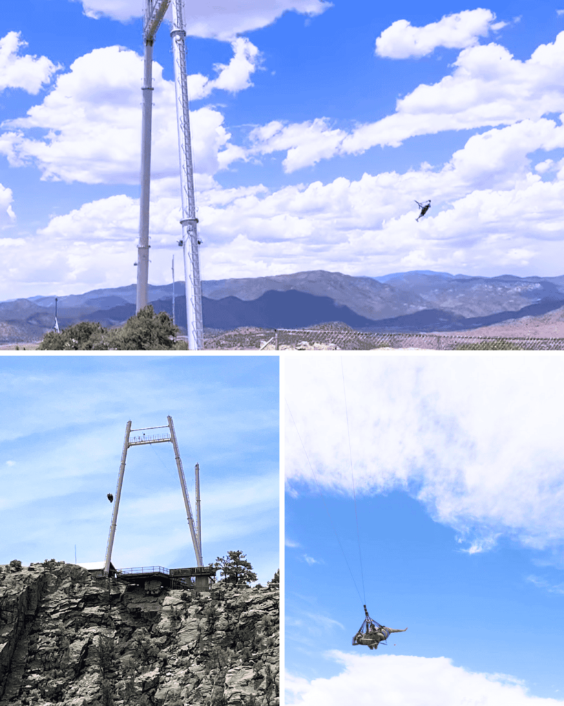 I chickened out but some of my freinds have been on the Royal Rush Skycoaster