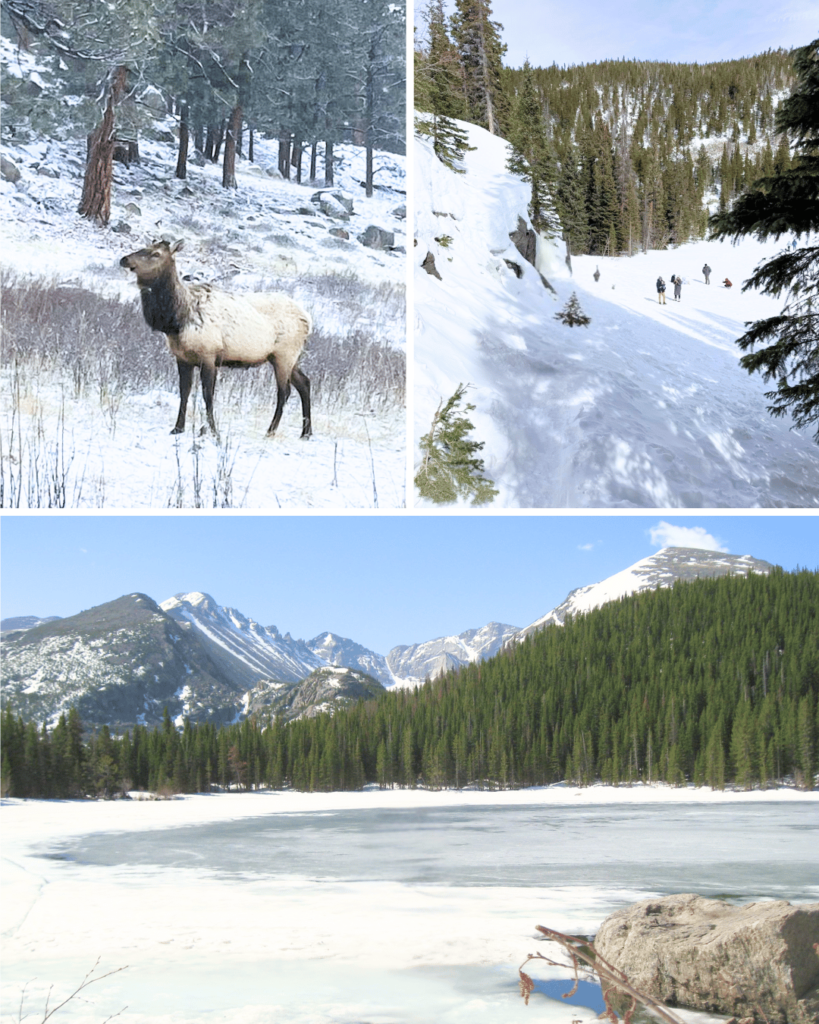 In winter, Bear Lake in Rocky Mountain National Park freezes solid