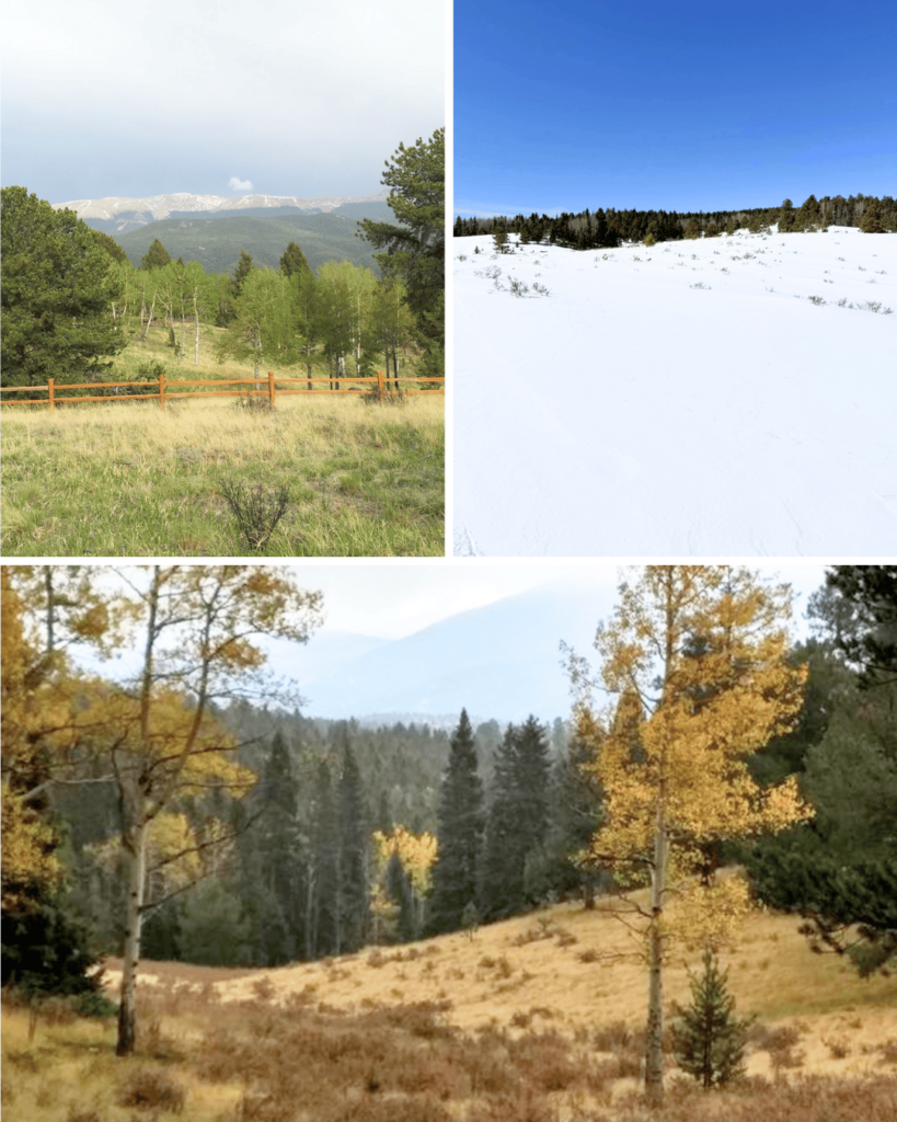 Mueller State Park is fun year round! Sledding and tubing here is fun in winter.