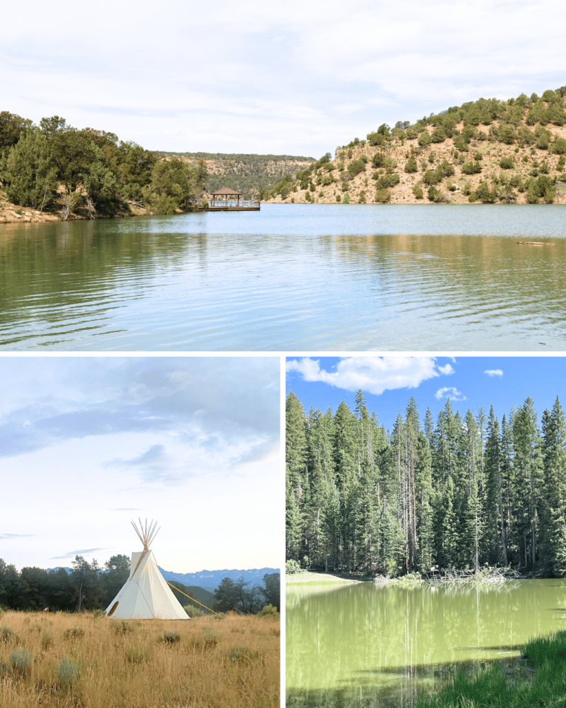 Ridgway State Park makes a great base for exploring the San Juan mountains