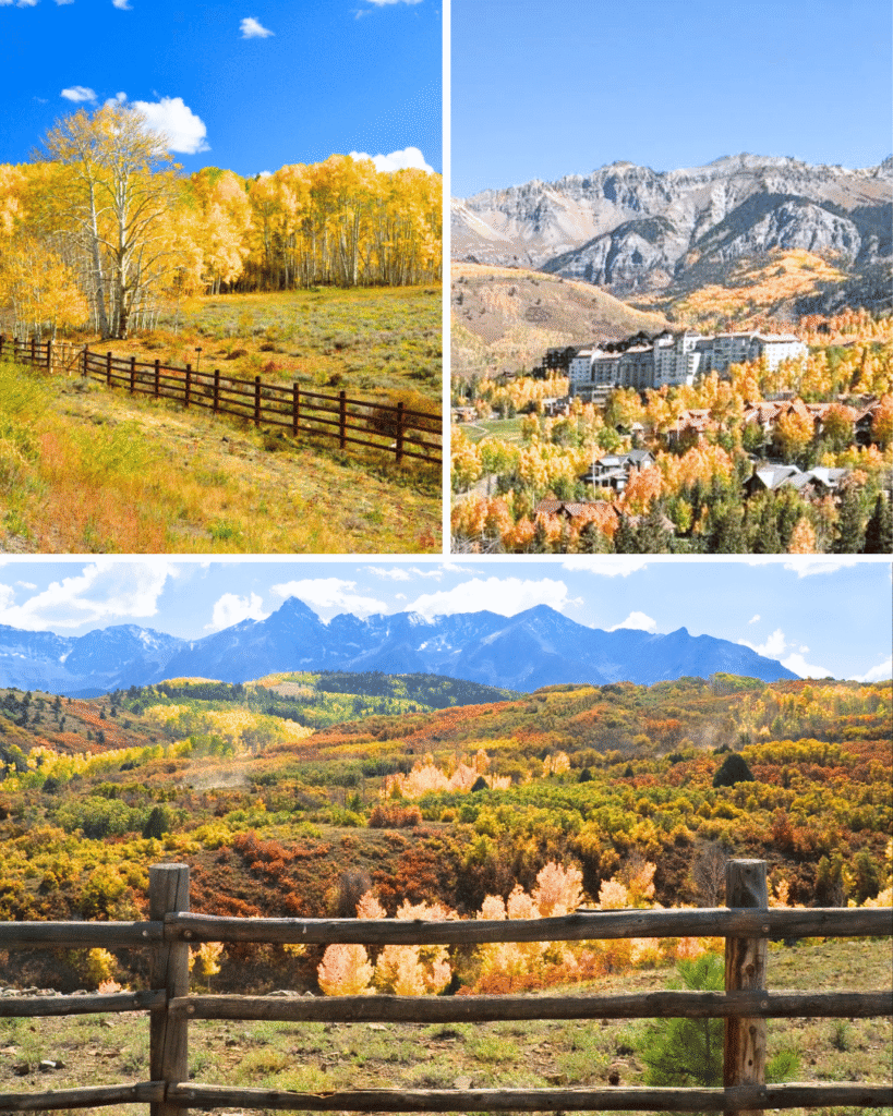 Dallas Divide and Ridgway area have brillinat fall foliage and almost zero crowds