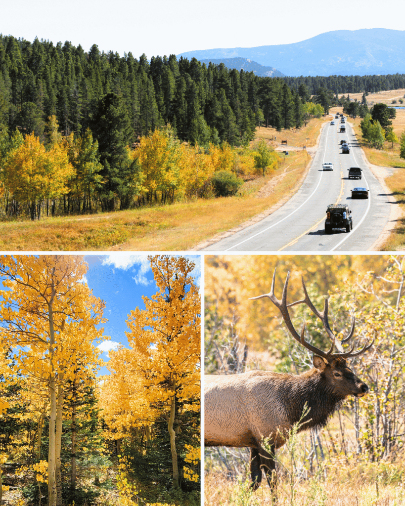 Take a day trip along the Peak to Peak Highway to see fall colors in the Indian Peaks Wilderness area