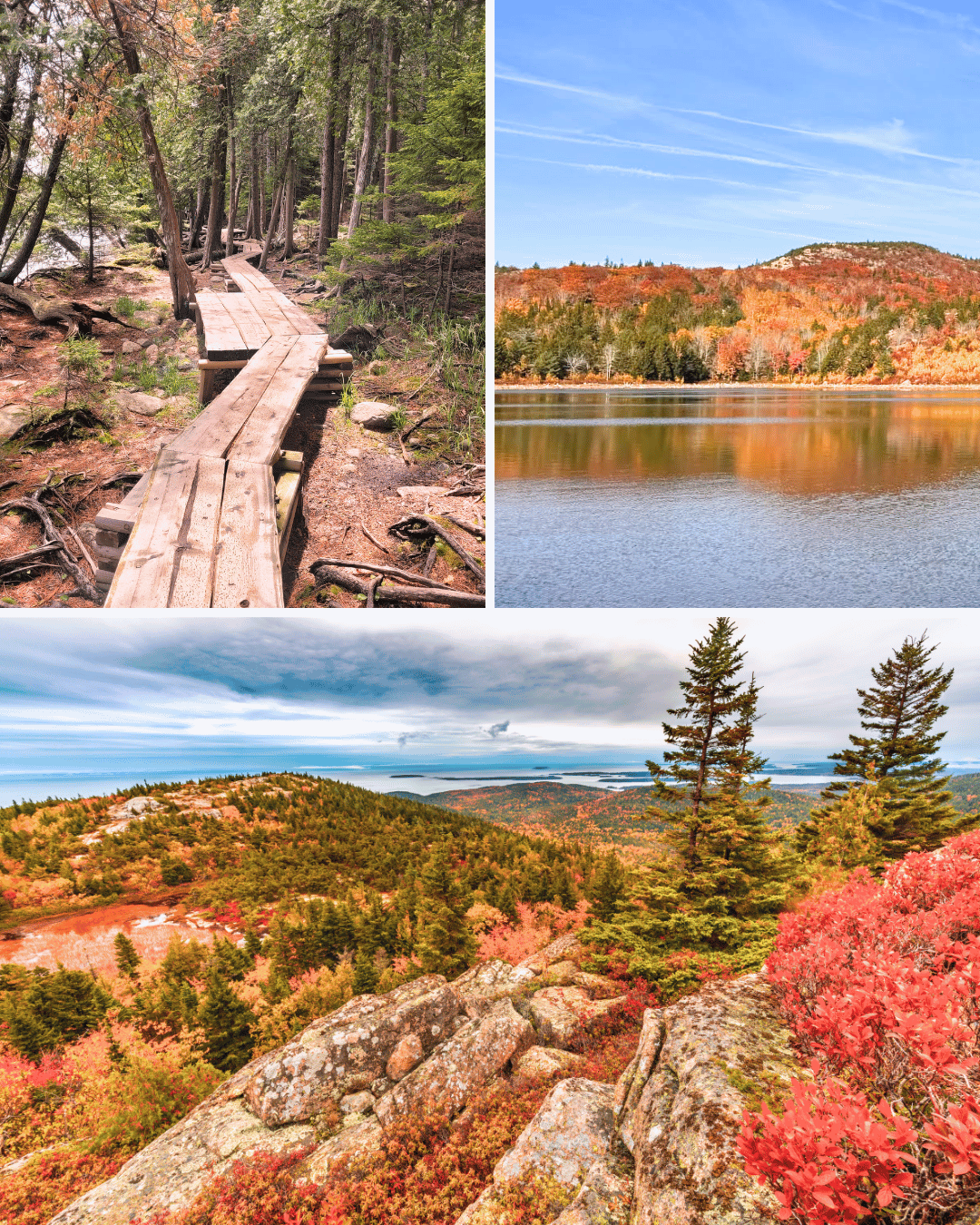 Acadia NP is delightful to hike when fall colors are out