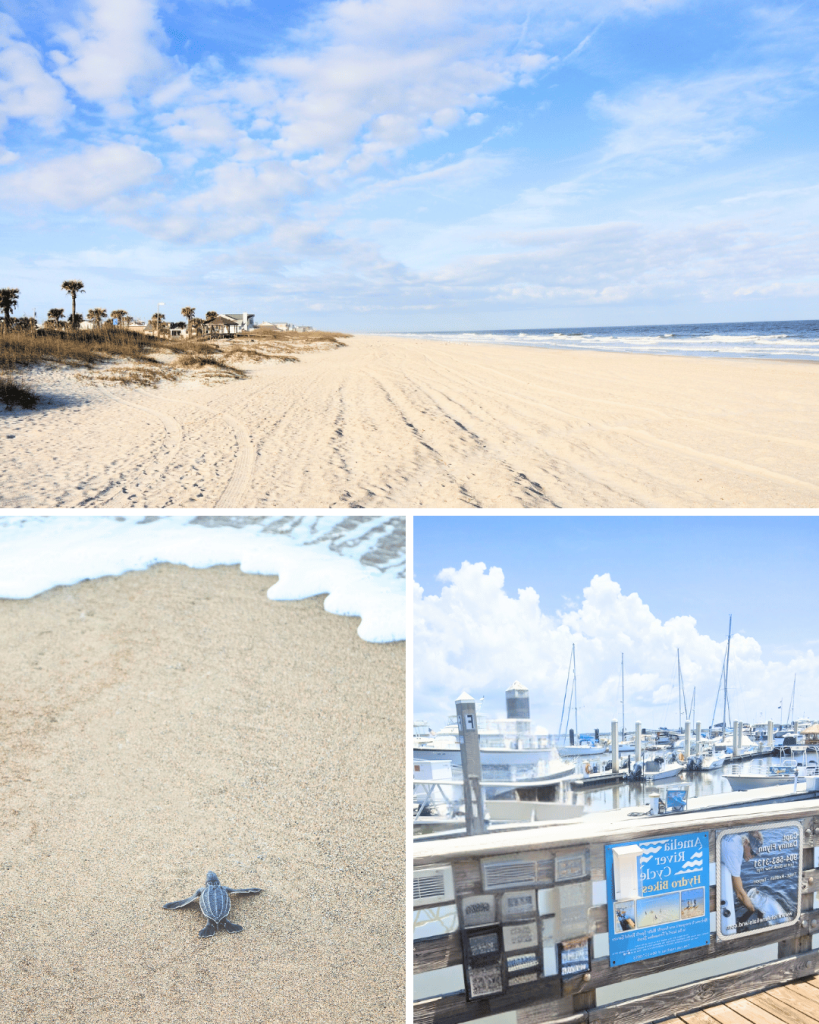 Amelia Island in Florida was my first time visiting the Atlantic!