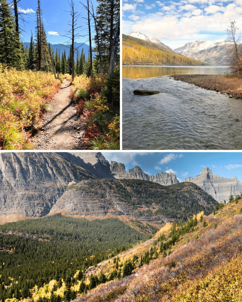 Autumn in Glacier NP means snow covered mountain tops and breathtaking fall color on the trees.