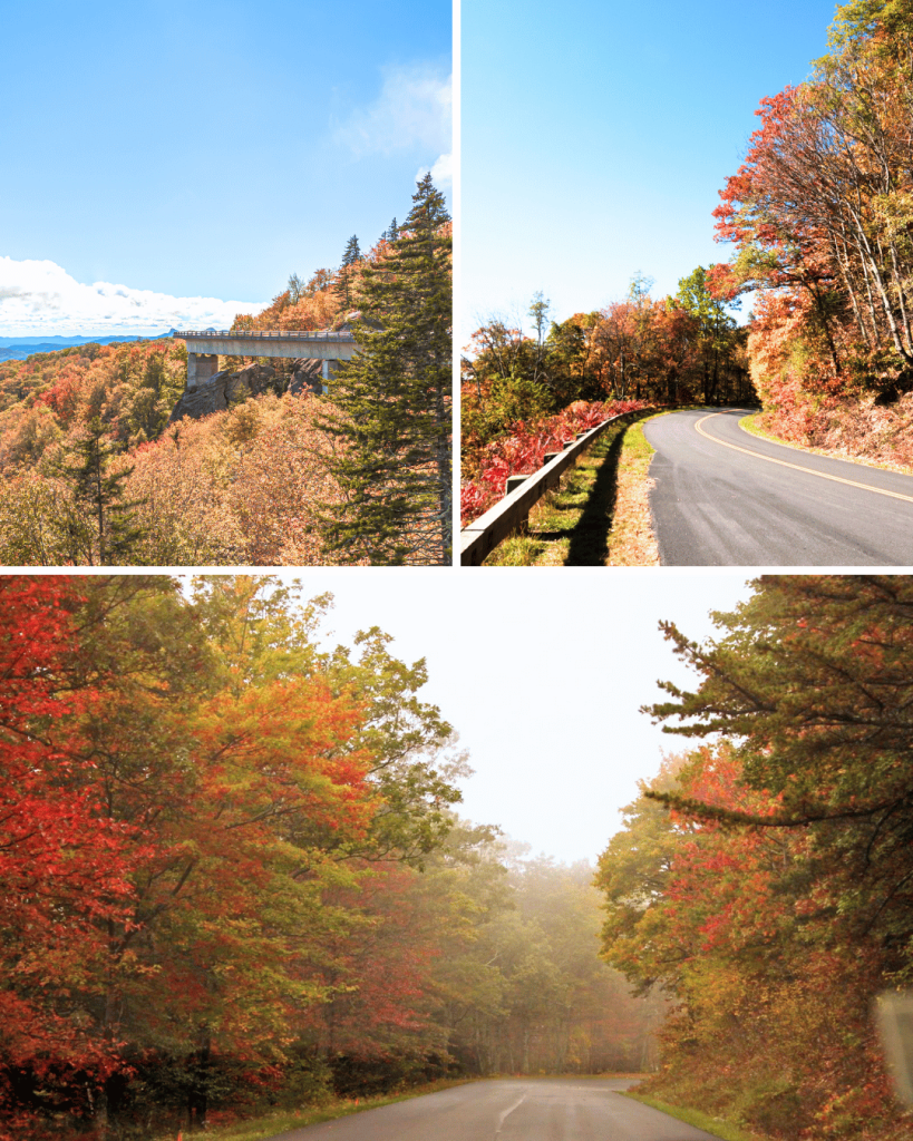Beautiful autumn colors on the Blue Ridge Parkway