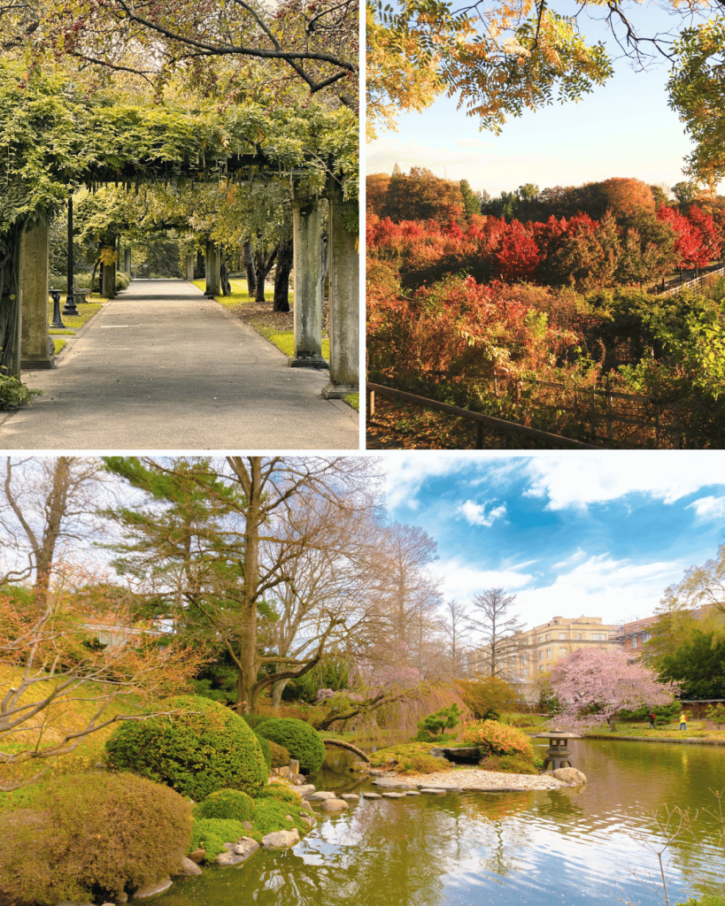 Brooklyn Botanical Garden is so colorful in autumn