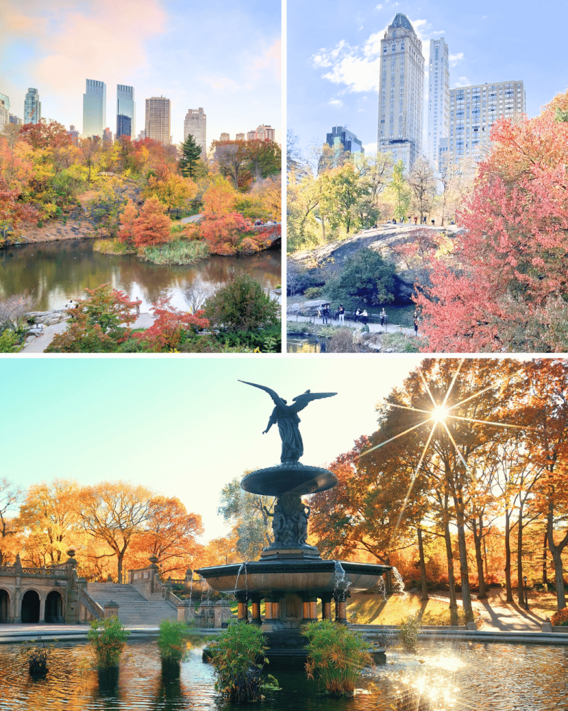 Embrace the beautiful fall foliage in Central Park in October