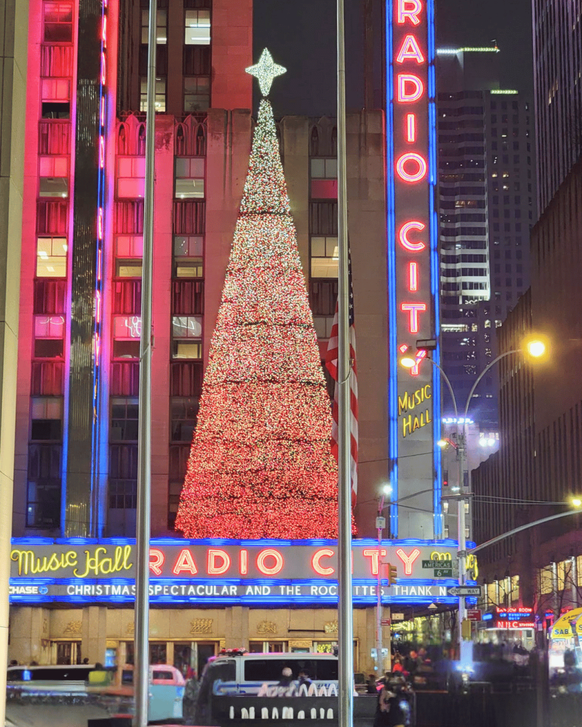 Enjoy Dazzling moments at the Radio City Christmas Spectacular!