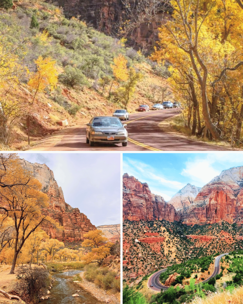 In late October, Zion National Park in Utah is known for its fall foliage