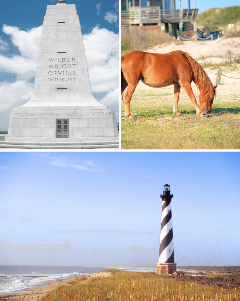 Outer Banks are my favorite place to engage with nature and learn about the local ecology