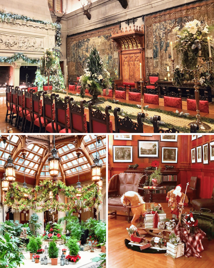 Take the Biltmore Candlelight tour in Asheville