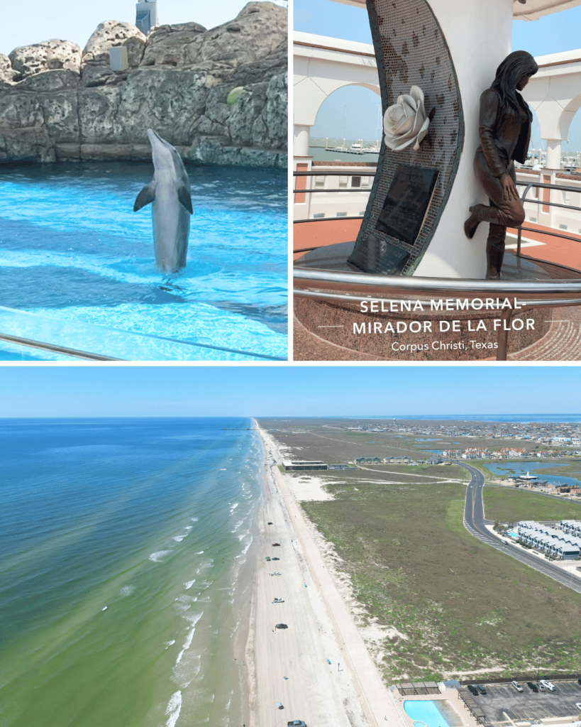 Winter is full of fun in Corpus Christi