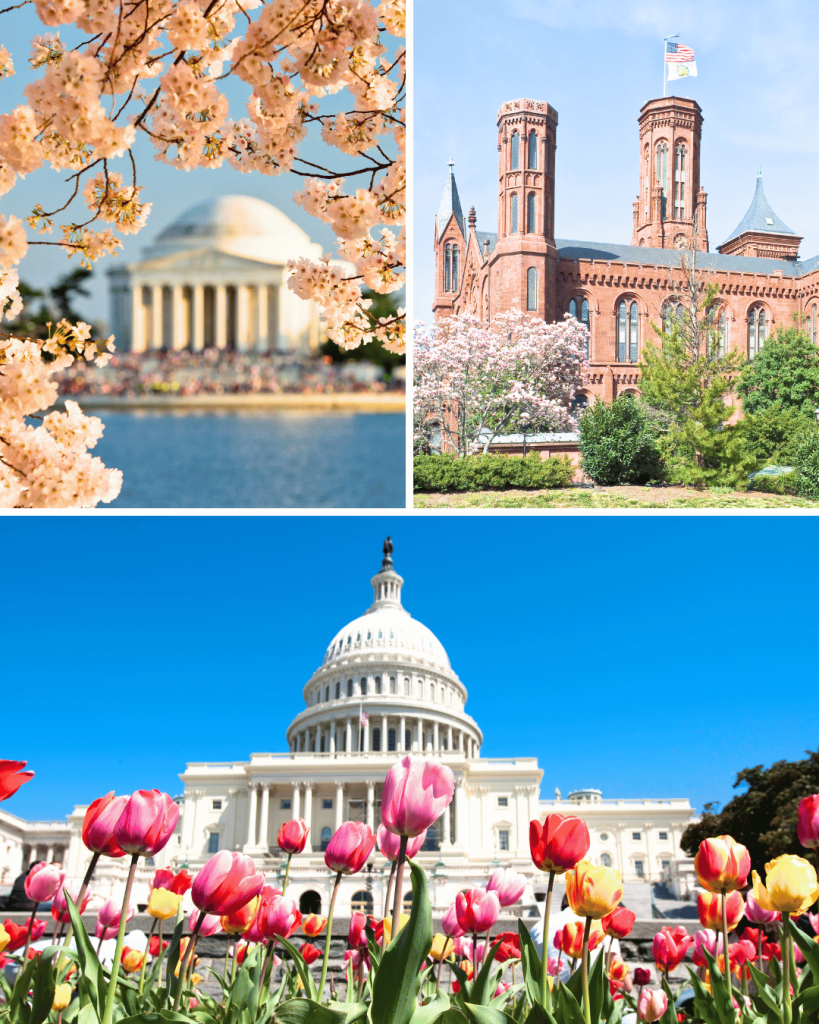 Washington DC has amazing Smithsonian museums and the national mall monuments